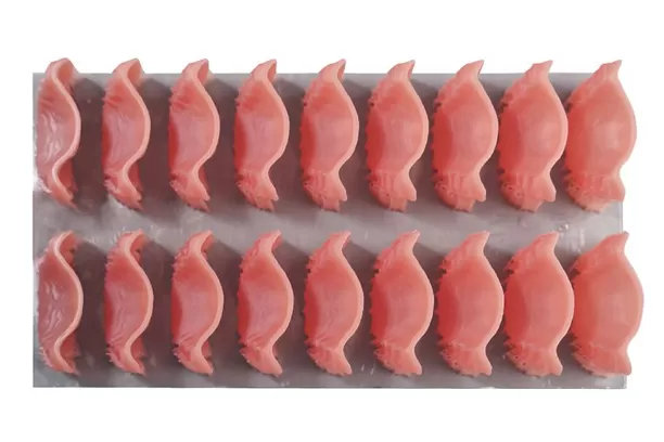 Base de la dentadura