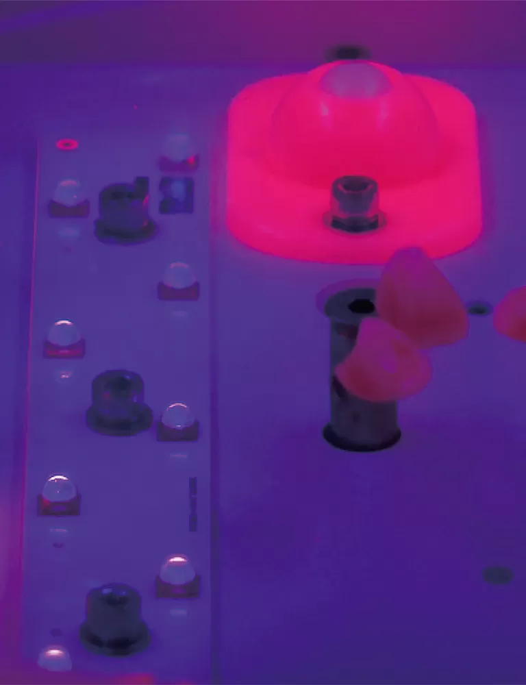 Eleve sus impresiones 3D con las soluciones profesionales de post-procesamiento de RAYSHAPE