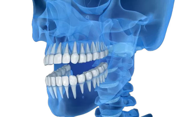 Transformar la precisión dental con impresoras 3D RAYSHAPE