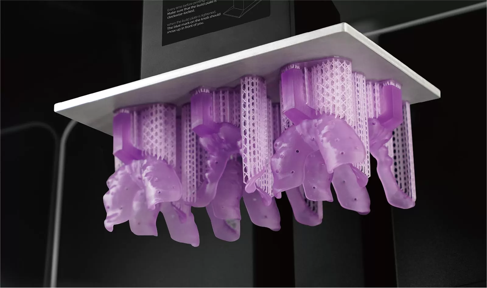 Bandeja de resina púrpura